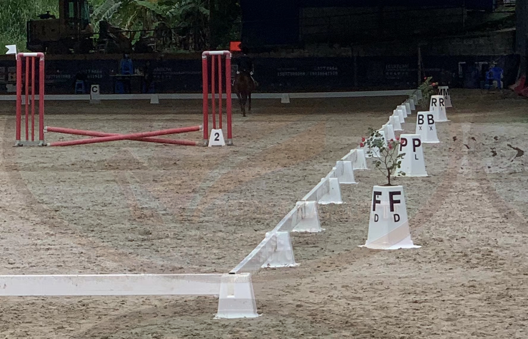 Professional Dressage Arena Fence for Equestrian Training and Competition – Image 4